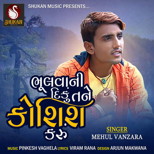 Bhulvani Diku Tane Koshish Karu