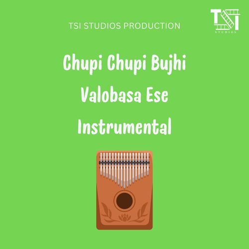 Chupi Chupi Bujhi Valobasa Ese Instrumental