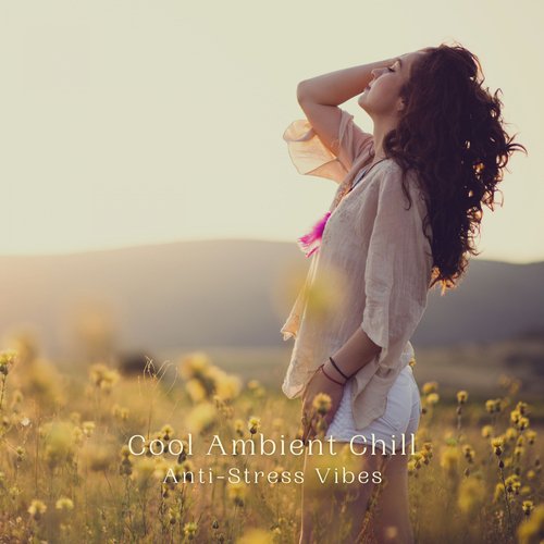 Cool Ambient Chill: Anti-Stress Vibes