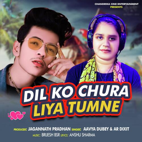 Dil ko Chura Liya Tumne (Hindi)