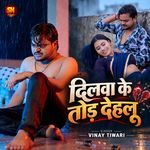 Dilwa Ke Tod Dehlu