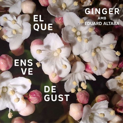 El que ens ve de gust cover art