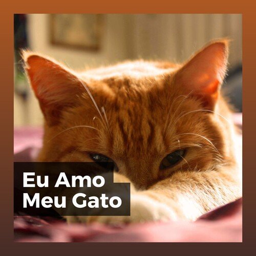 Cat's Zone of Peace cover art
