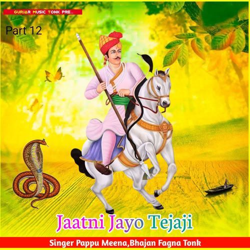 Jaatni Jayo Tejaji