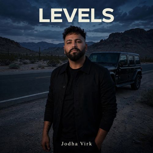 Levels