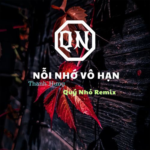 Nỗi Nhớ Vô Hạn (Quý Nhỏ Remix)_poster_image