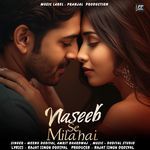 Naseeb Se Mila hai