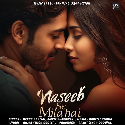 Naseeb Se Mila hai