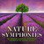 Symphony No. 1 in B-Flat Major, Op. 38 "Spring": I. Andante un poco maestoso - Allegro molto vivace