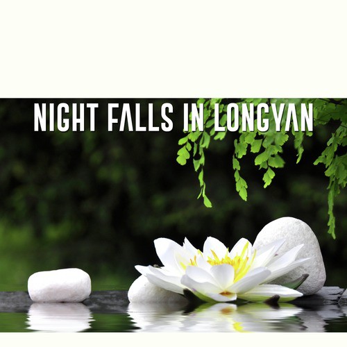 Night Falls in Longyan_poster_image