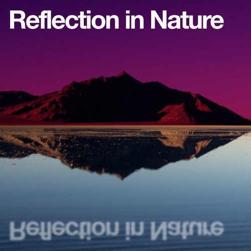 Reflection in Nature