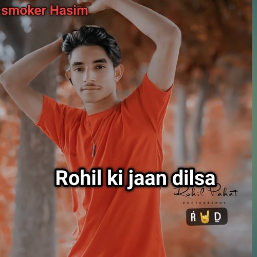 Rohil ki jaan dilsa (Mewati)