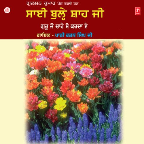 Sai Bulle Shah Ji Vol-17