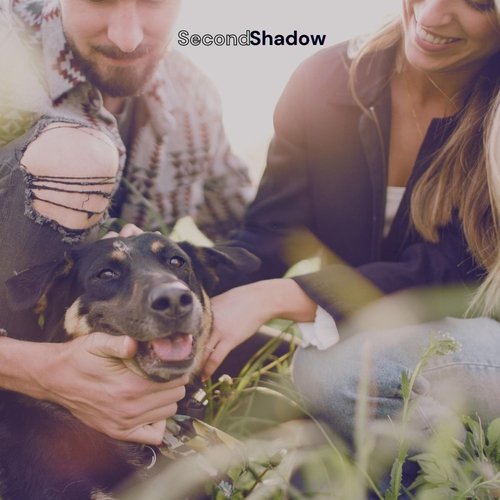 Second Shadow-okv tunes