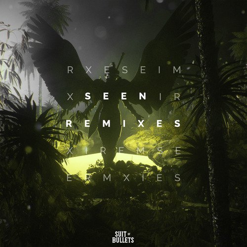 Seen (Remixes)_poster_image