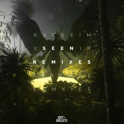 Seen (Remixes) (feat. Veronica Bravo)