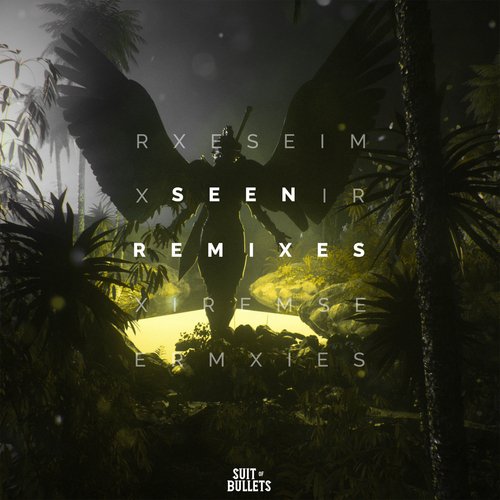 Seen (feat. Veronica Bravo) (Remixes)_poster_image