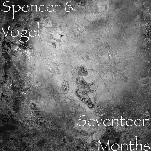 Seventeen Months_poster_image