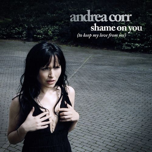 Shame On You [to keep my love from me] (Single Track DMD)_poster_image