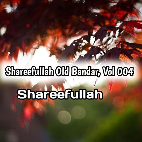 Shareefullah Old Bandar, Vol. 004