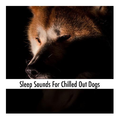 Compassionate Doggy Soothing Stress Buster cover art