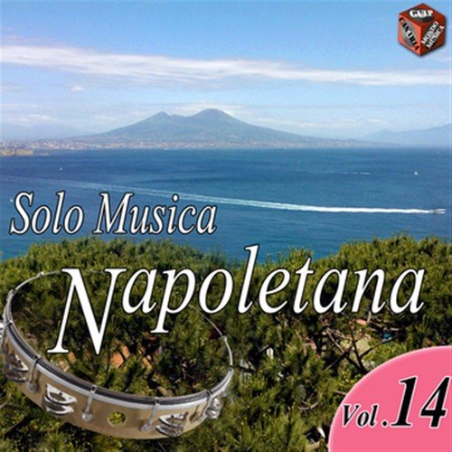 Solo musica napoletana, Vol. 14