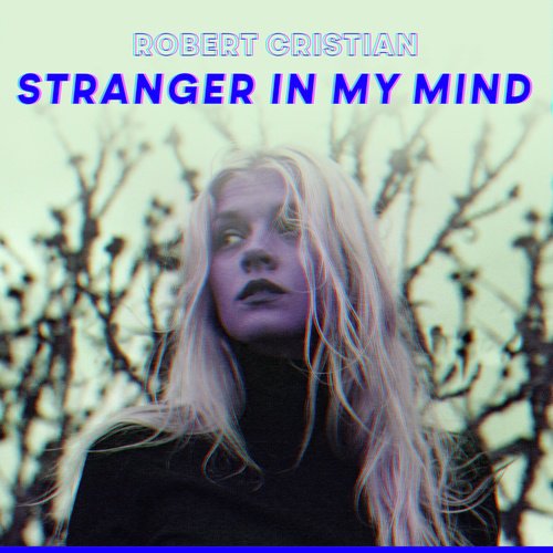 Stranger In My Mind_poster_image