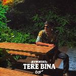 Tere Bina (Extended Version)