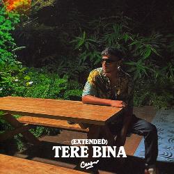 Tere Bina (Extended Version)