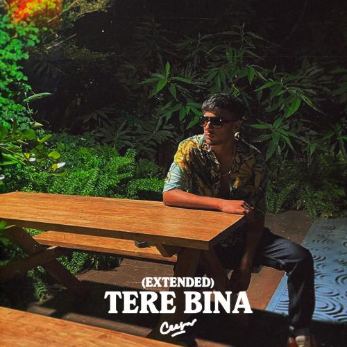 Tere Bina (Extended Version)