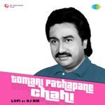 Tomari Pathapane Chahi - LoFi