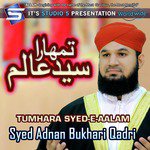 Tumhara Syed-e-Aalam
