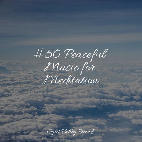 #50 Peaceful Music for Meditation