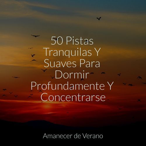 50 Pistas Tranquilas Y Suaves Para Dormir Profundamente Y Concentrarse