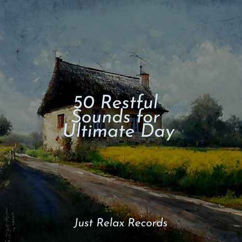 50 Restful Sounds for Ultimate Day