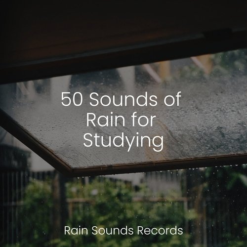 50 Sounds of Rain for Studying