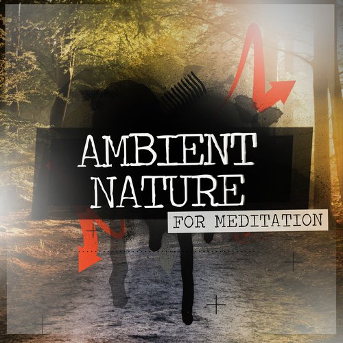 Ambient Nature for Meditation_poster_image