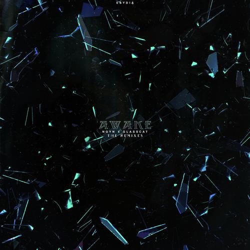 Awake - The Remixes