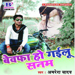 Bewafa Ho Gailu Sanam - Single