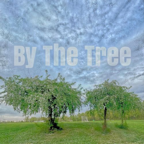 By The Tree
