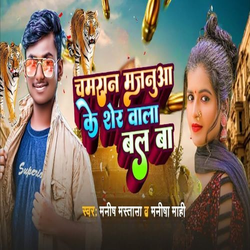 Chamaran Majanua Ke Sher Wala Bal Ba