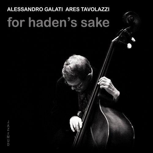 For Haden&#039;s Sake_poster_image