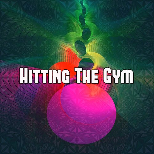 Hitting The Gym_poster_image