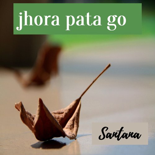 Jhora Pata Go