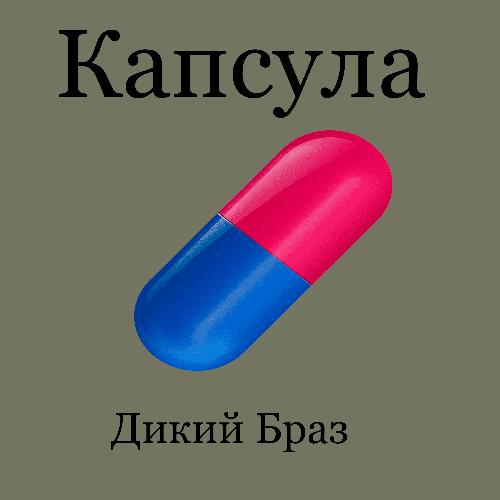 Капсула_poster_image