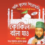 Kokil Boila Jao, Pt. 6