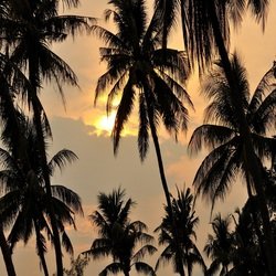 Forêt et Mer Mélancolique Apaisante