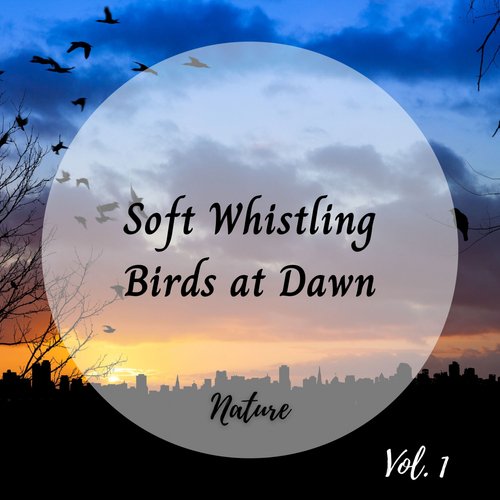 Blue Jay cover art
