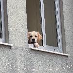 Partyraum für Alle?