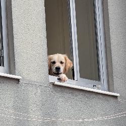 Partyraum für Alle?